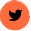 Twitter Icon